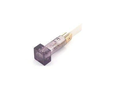 Marshall Purple Square Indicator Bulb